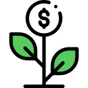 capital support